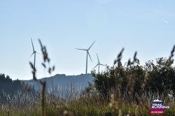 2024-08-24 KTRE 2024 -081141-DSC_0991